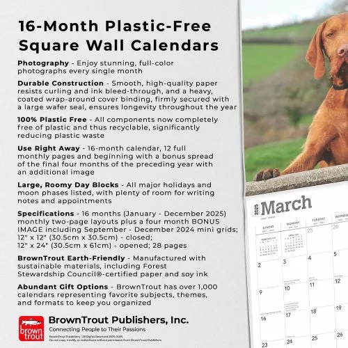 2025 Vizslas Wall Calendar