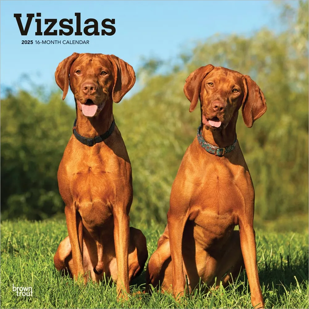 2025 Vizslas Wall Calendar