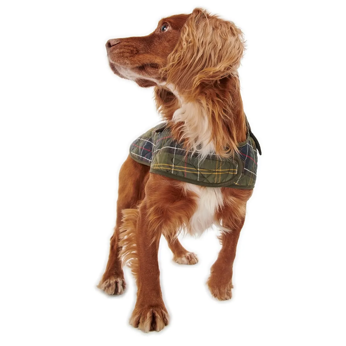 Barbour Tartan Dog Coat