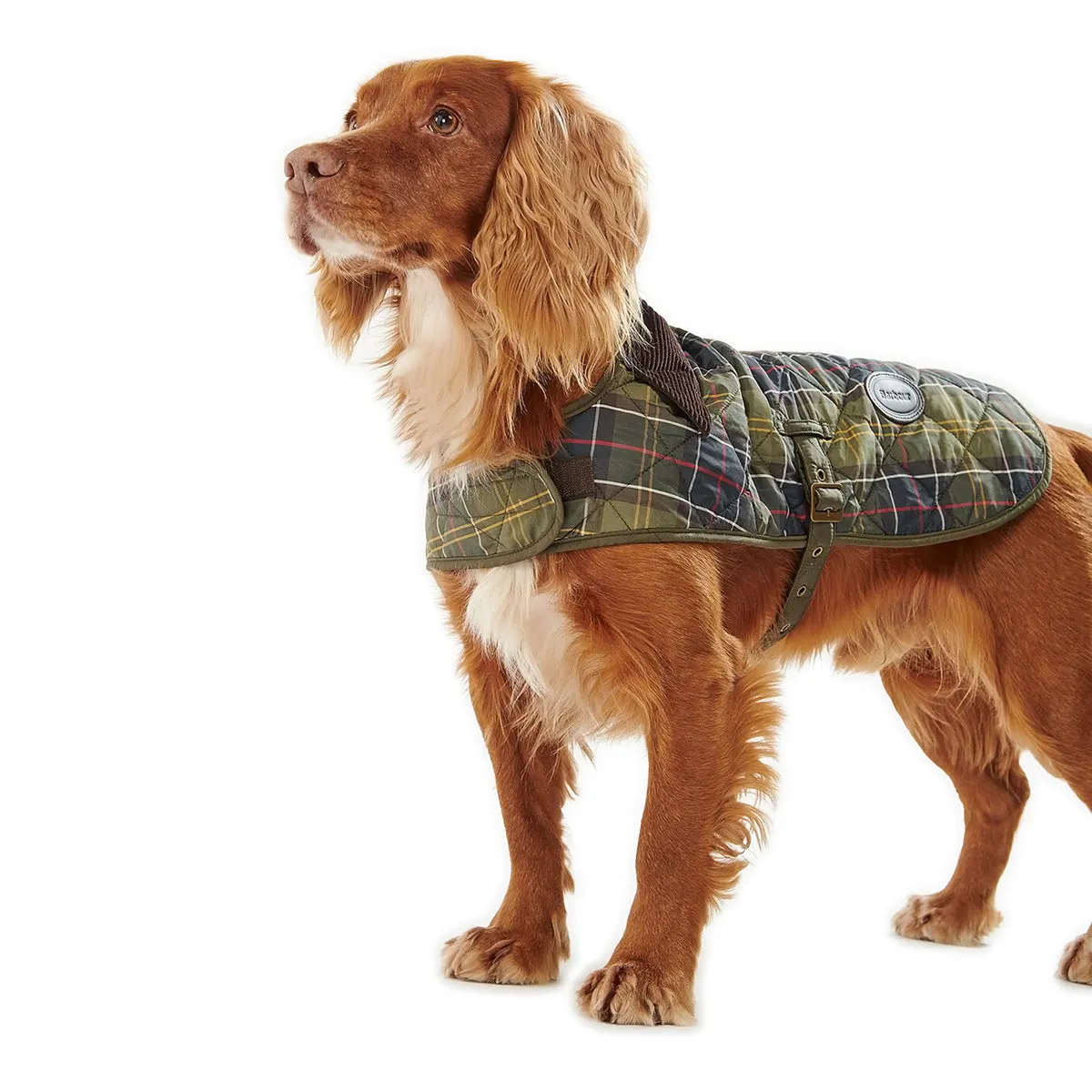 Barbour Tartan Dog Coat