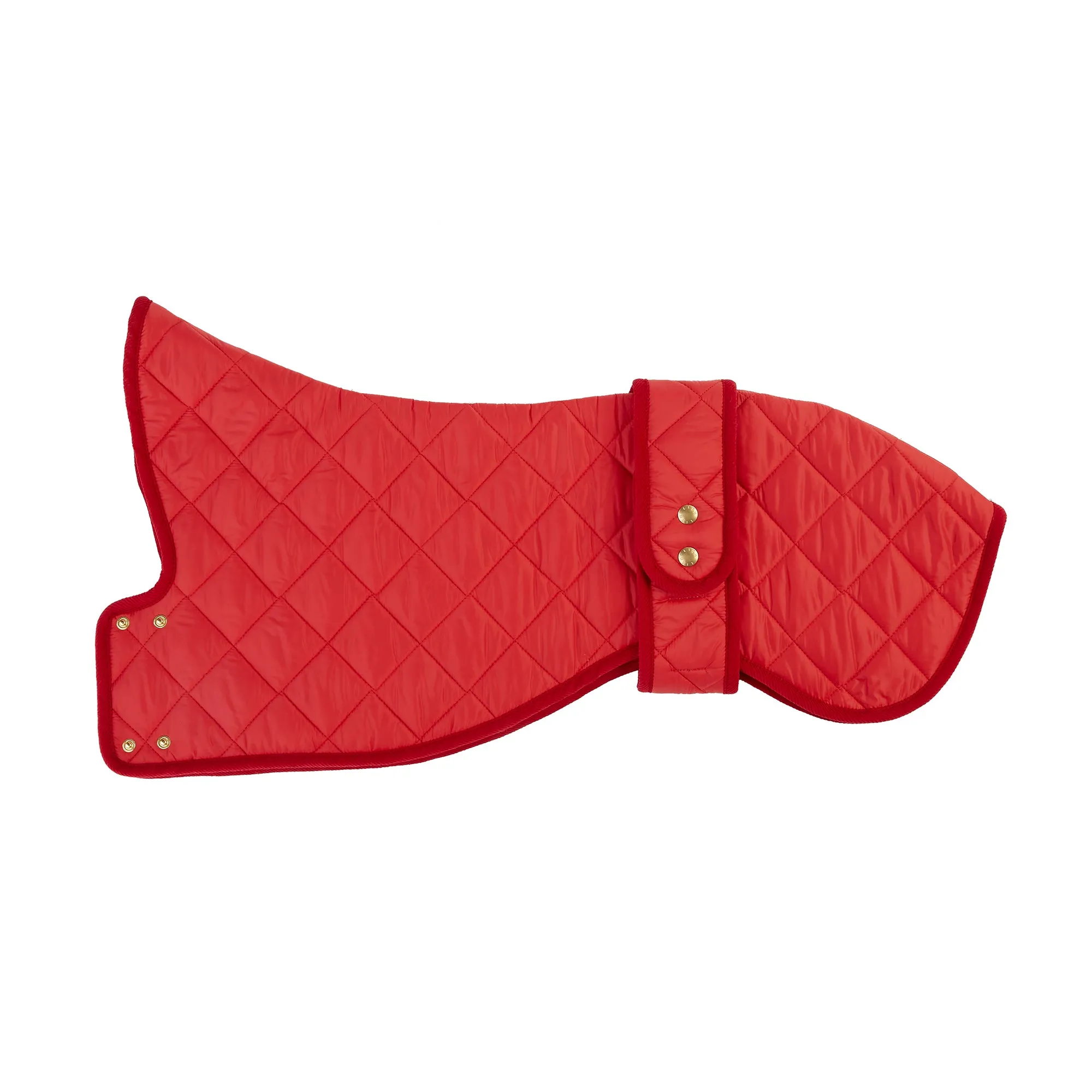 Chigwell Quilted Luxury Red Dog Coat for Whippets