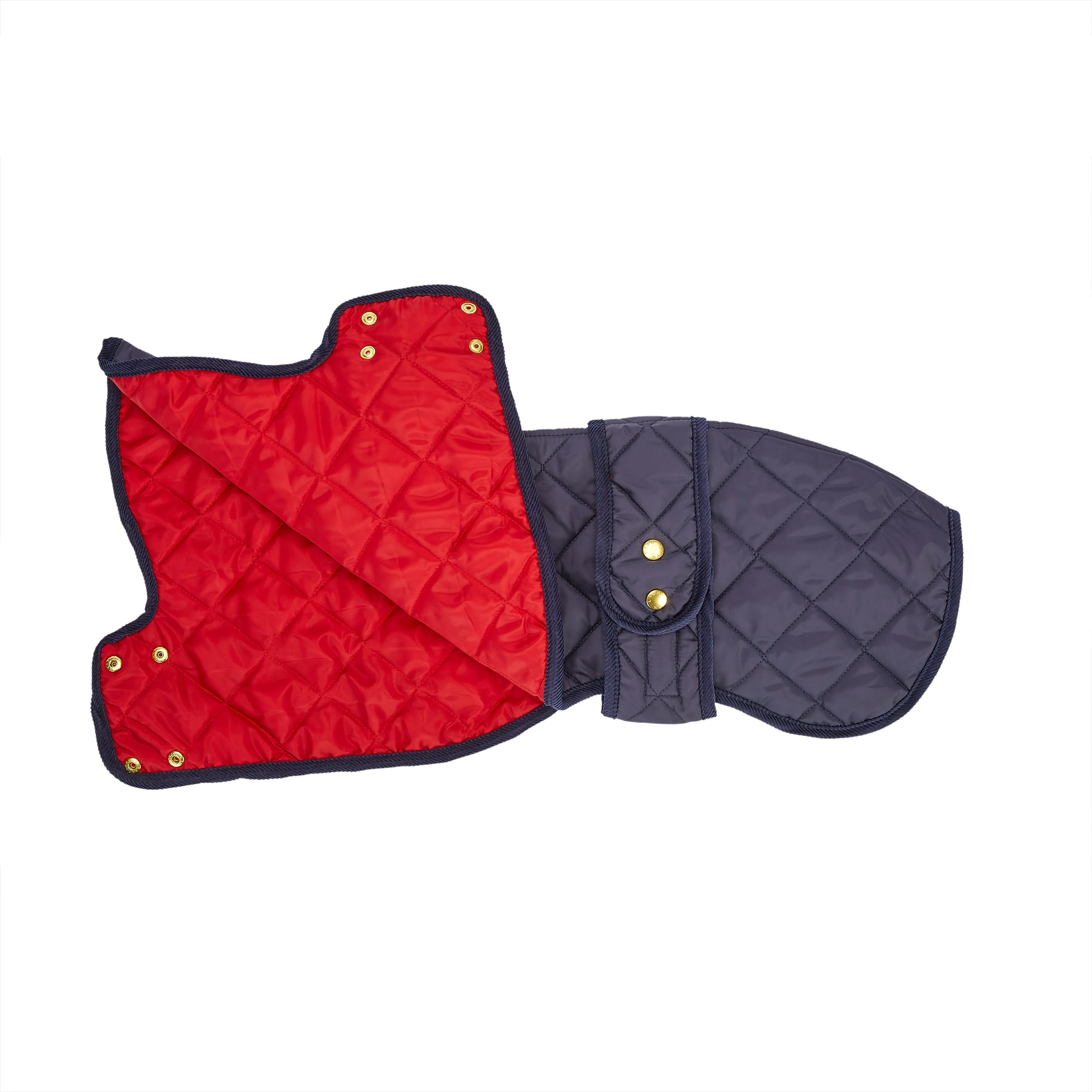 Elwin Navy Sustainable Designer Whippet Dog Coat