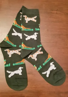 English Setter Hunting Dog With Pheasant Socks