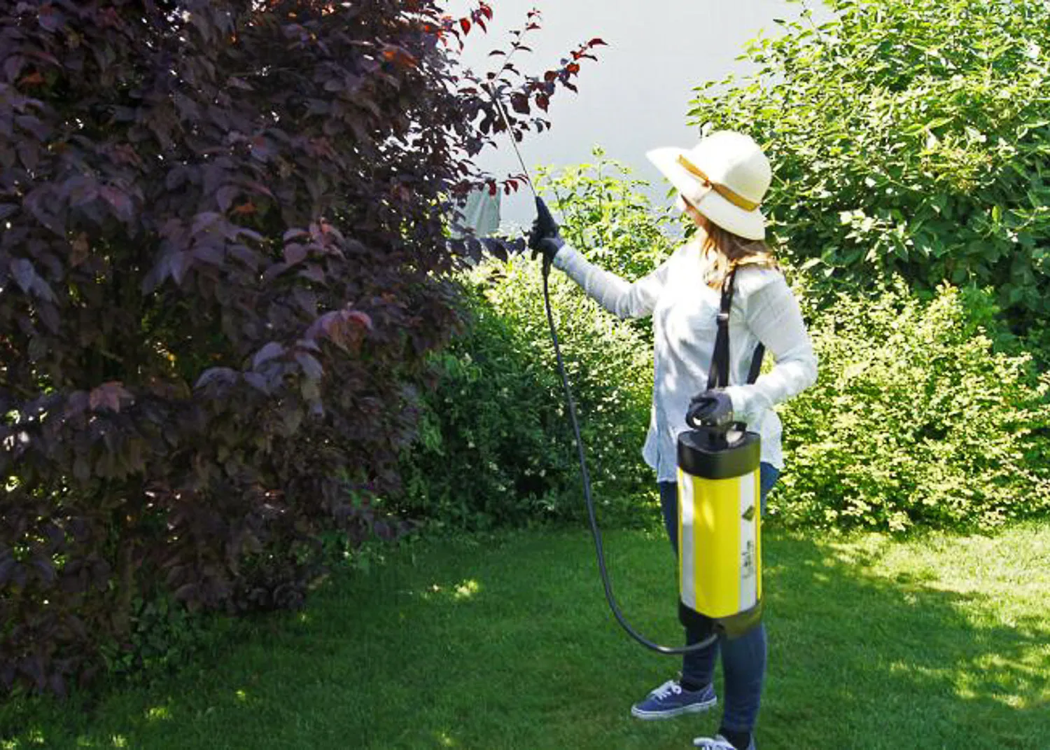 Flori Compact Sprayer