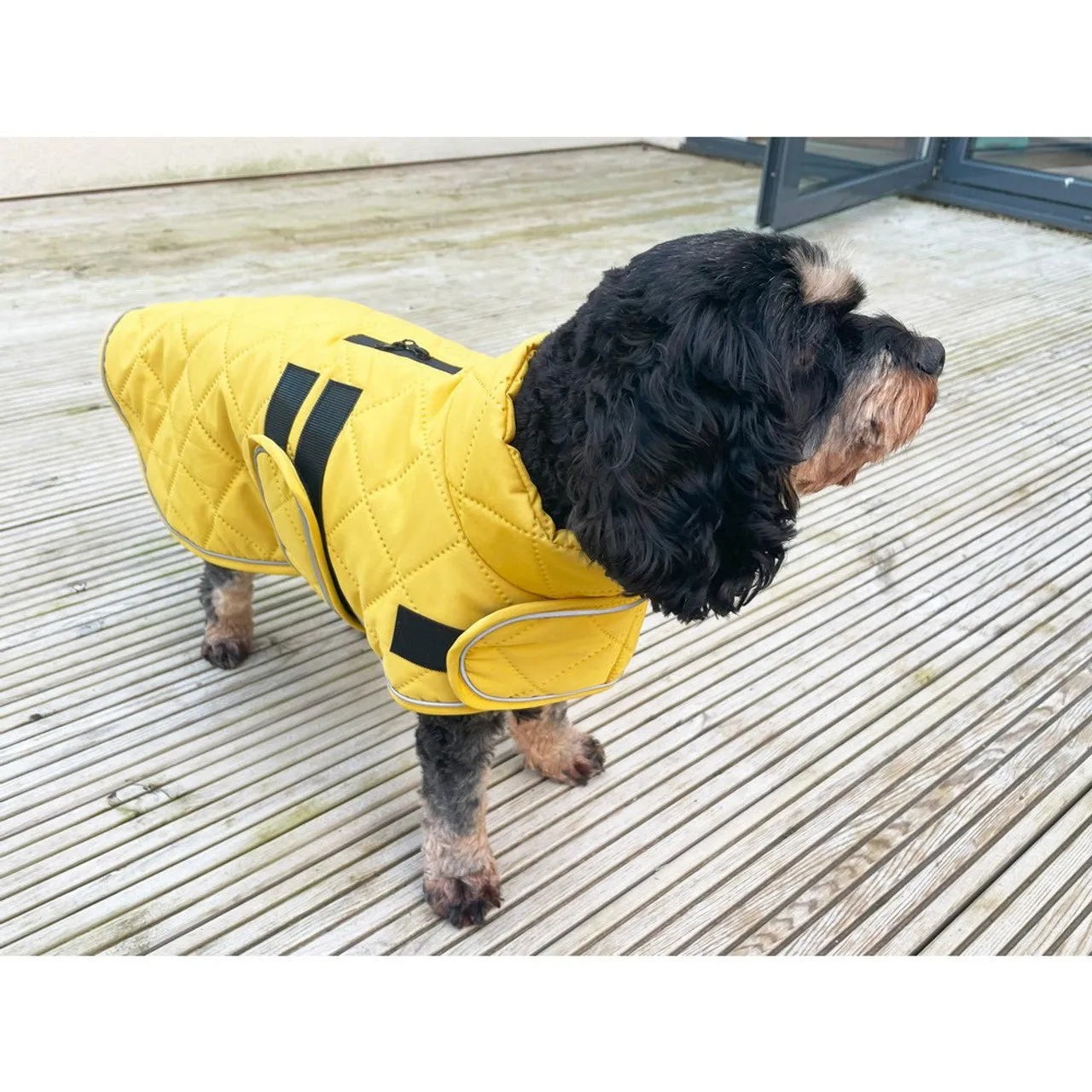 Happy Pet | Dog Coat | Mustard Quilted Classic Design