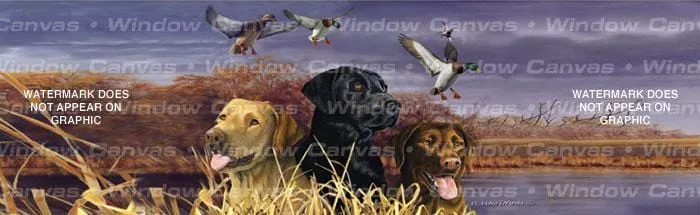 Labs In Marsh Rear Window Decal